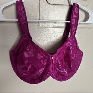 Wacoal Floral Bra in Rich Magenta